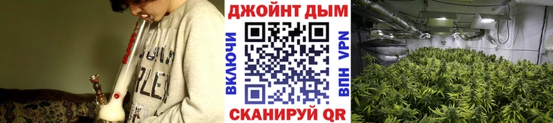 Магазин наркотиков Шарыпово Канабис  Псилоцибиновые грибы  АМФ  ГАШИШ  COCAIN  Меф 