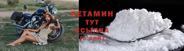 прущие грибы Пестово