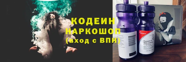 прущие грибы Пестово