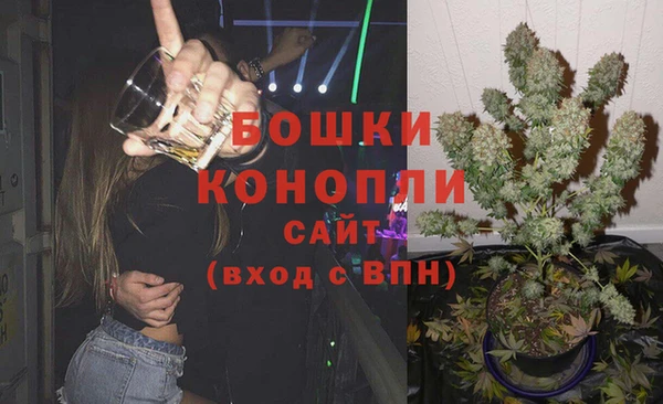 прущие грибы Пестово