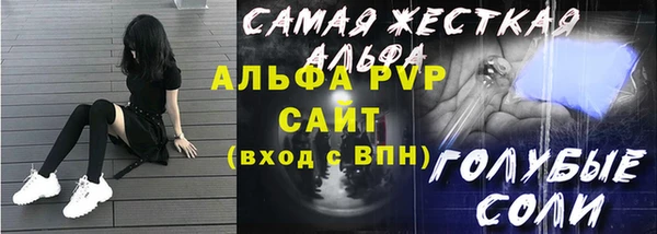 прущие грибы Пестово