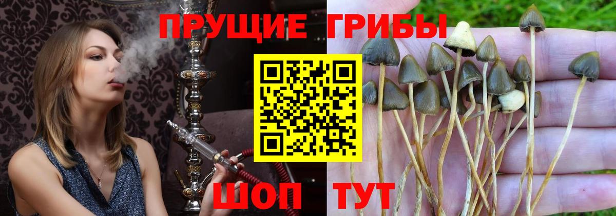 Псилоцибиновые грибы Magic Shrooms Шарыпово