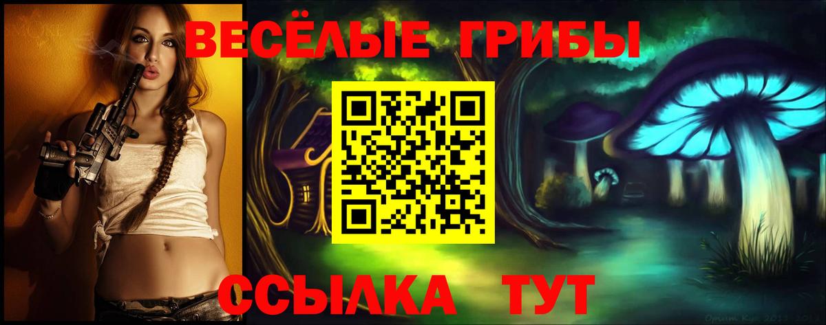 Псилоцибиновые грибы Psilocybine cubensis  купить наркотики сайты  Шарыпово 