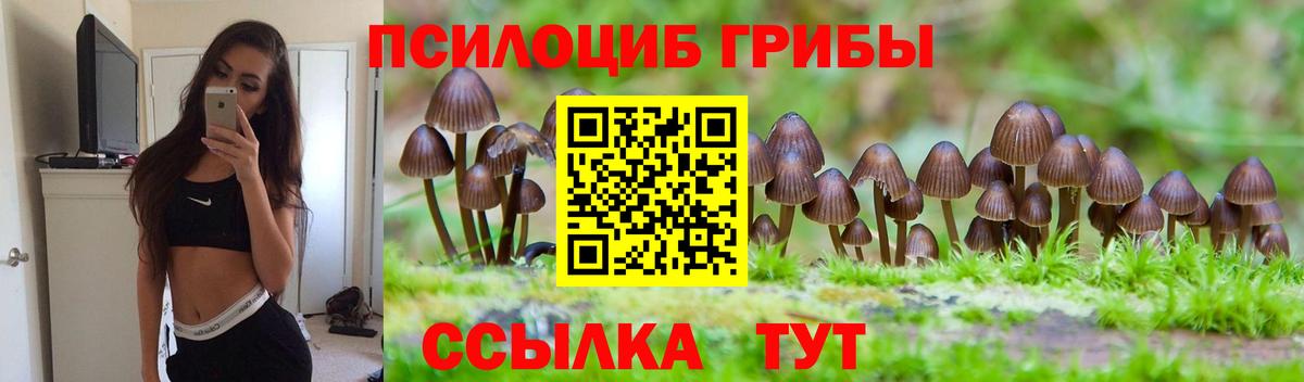 Псилоцибиновые грибы мухоморы  Вход с VPN  Шарыпово 